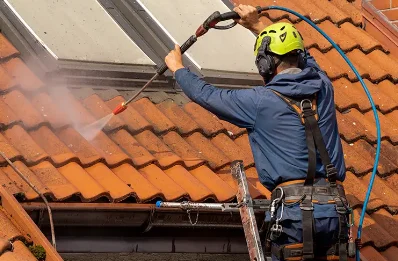 Démoussage et hydrofuge de toiture à Pleumartin